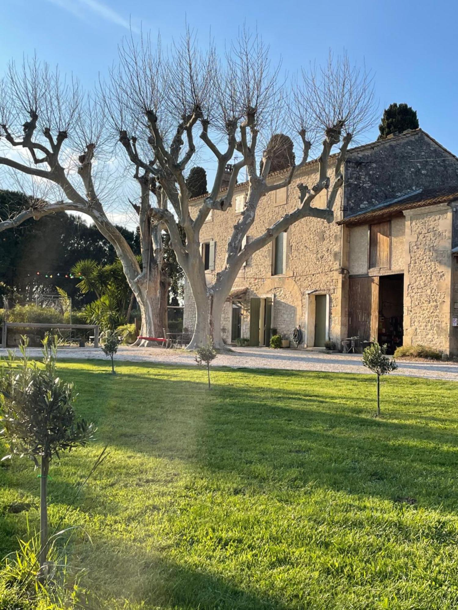 Gite Mas Provencal 塔拉斯孔 外观 照片